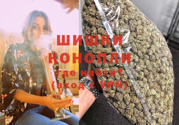 сатива Тихорецк