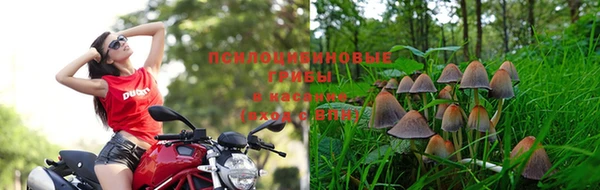 героин Беломорск