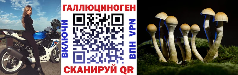Галлюциногенные грибы Psilocybine cubensis  ОМГ ОМГ онион  Шелехов 
